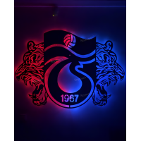 Trabzonspor - kaplan